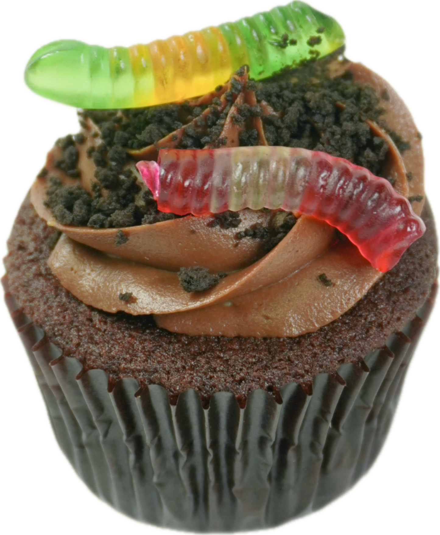 Creepy Crawlers (Available 18 Oct to 31 Oct)